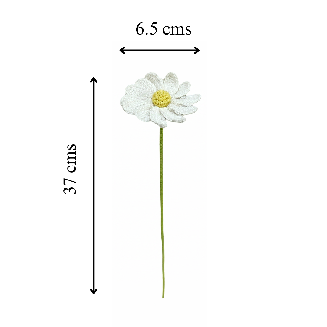 Bloom Forever with Crochet Daisies | Handmade with Love