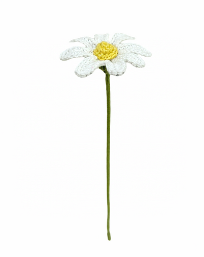 Bloom Forever with Crochet Daisies | Handmade with Love